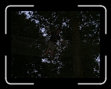 equinox76 (52) * 1632 x 1224 * (870KB)
